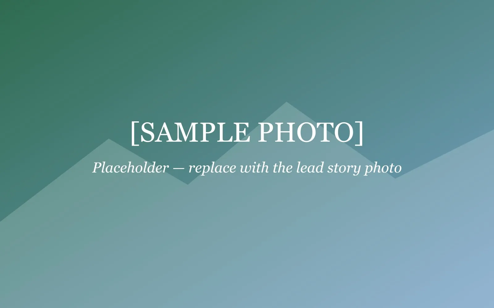 Placeholder image standing in for the lead story photograph